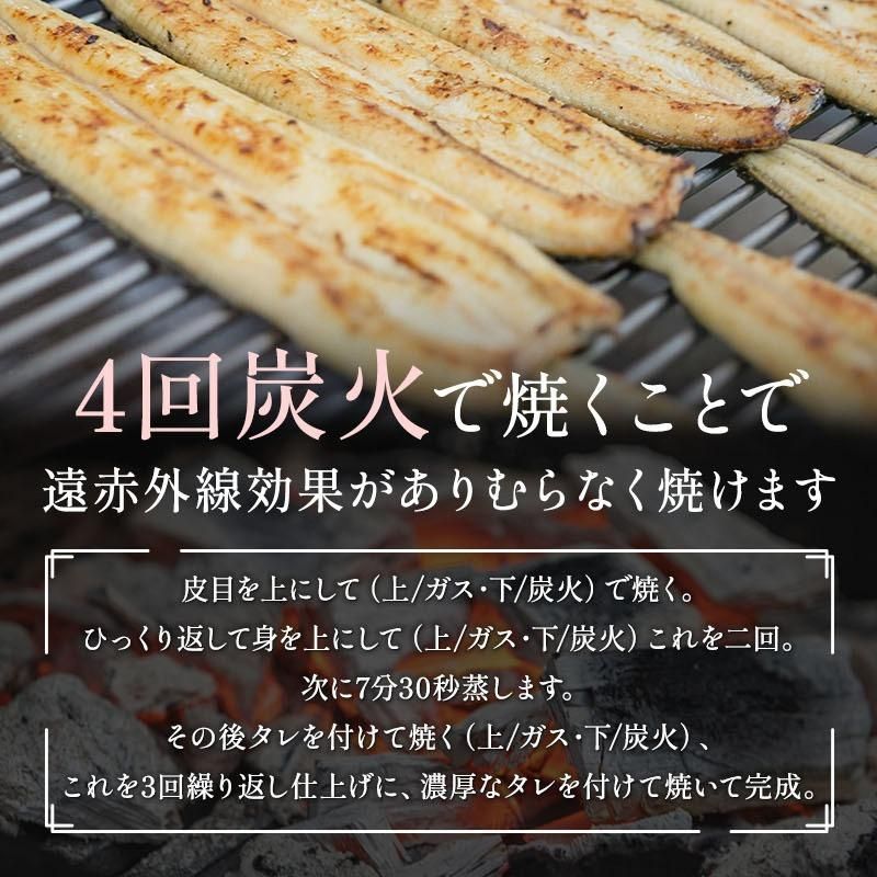 2尾 化粧箱入