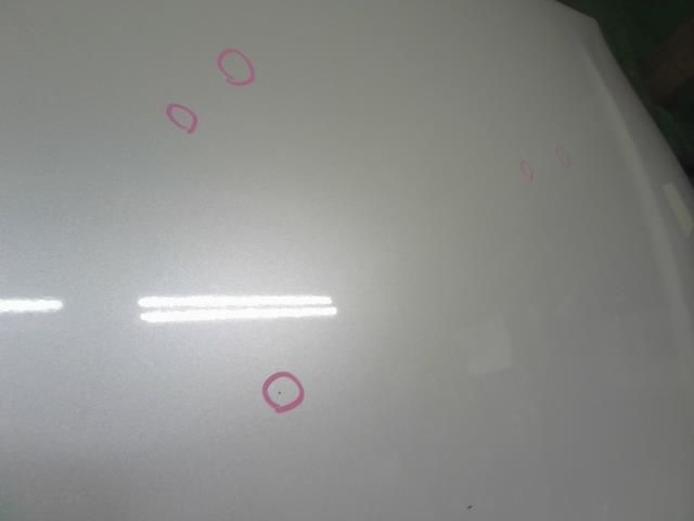 ボンネットフードパネル