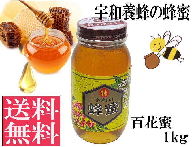 純国産 生蜂蜜1kg 非加熱12本セット