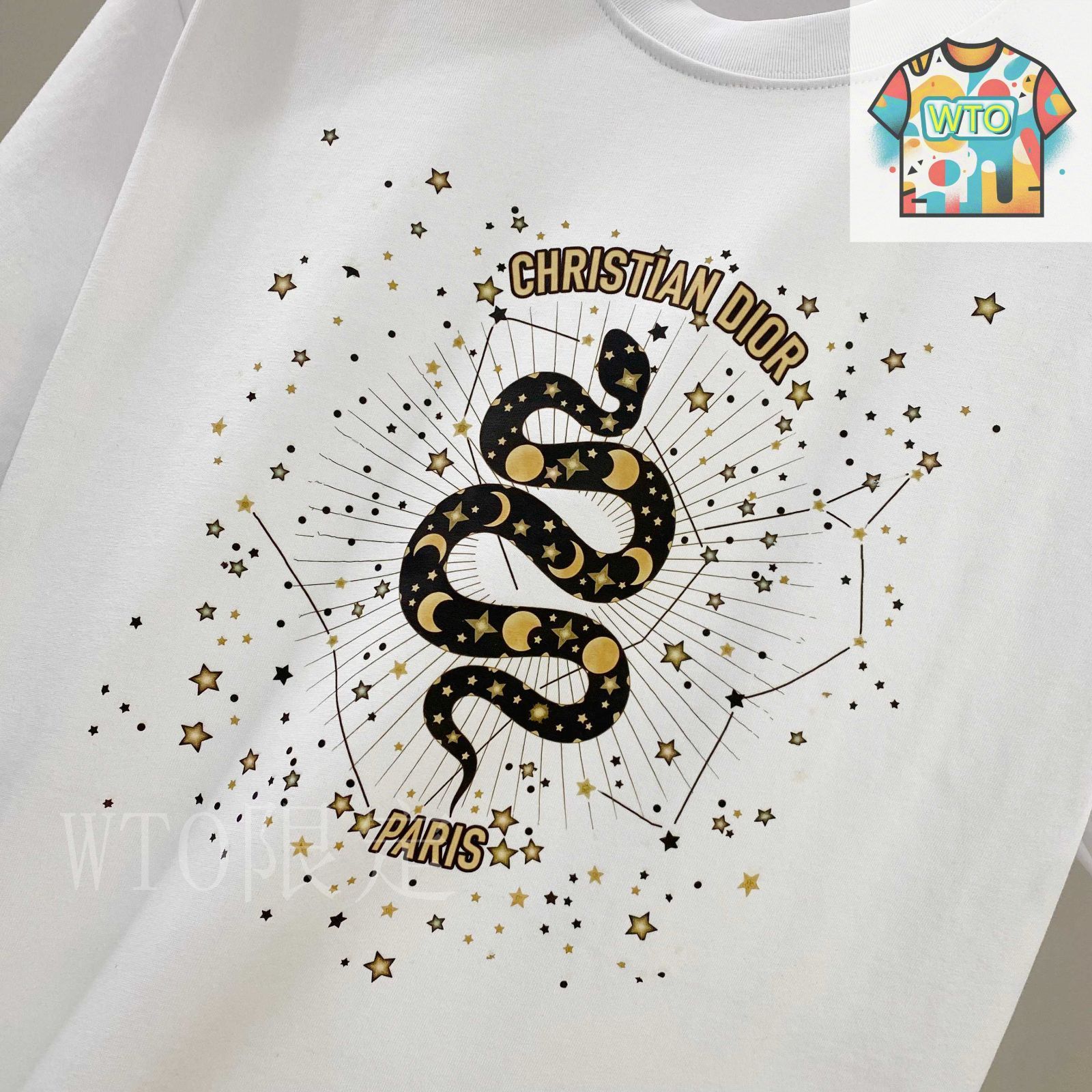 【全面プリントがおしゃれなデザイン☆】Dior Tシャツ 人気アイコンがエレガントに映えるディオール──2025年夏のT