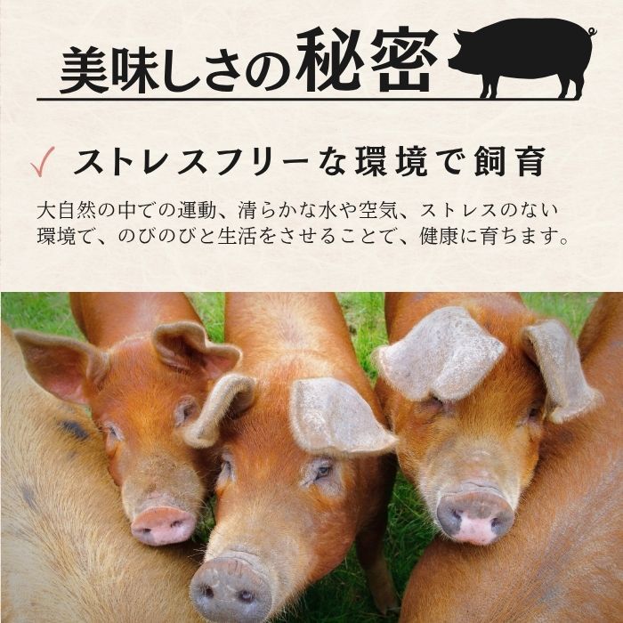 幻の赤豚 デュロック種 小間肉 1kg 静岡県産 - メルカリ