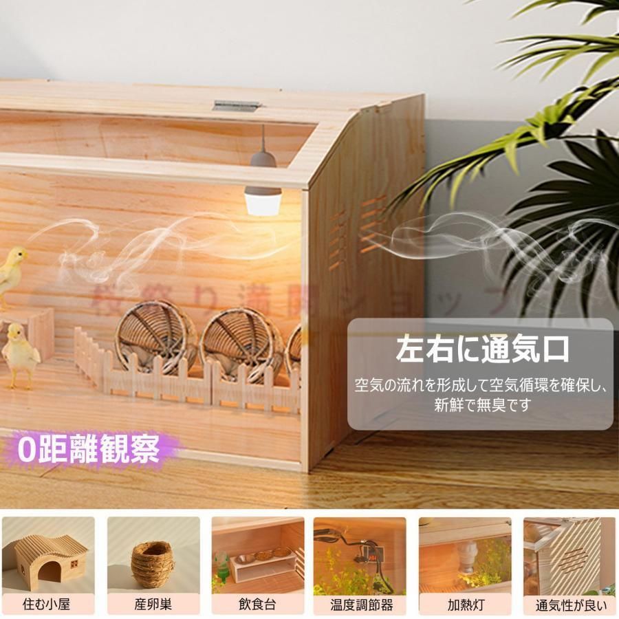 育雛 孵化