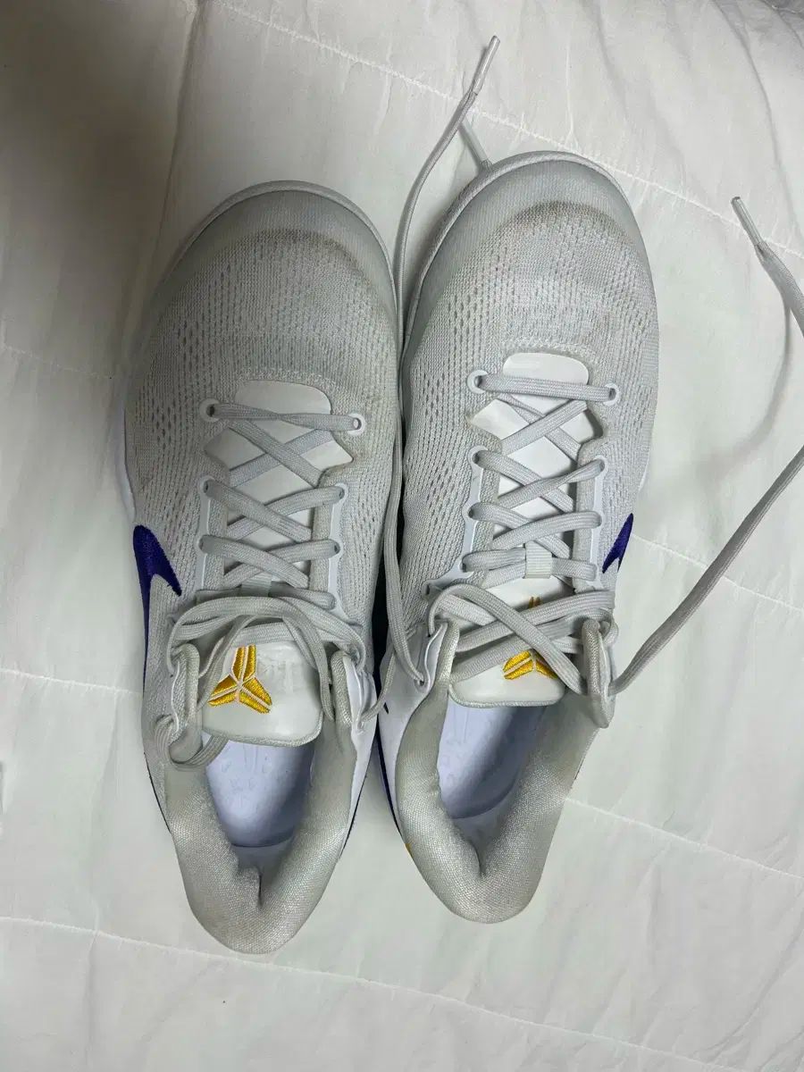 コービー 8 280 280 】 コービー 8 プロトロ ベニス ビーチ 2025年最新