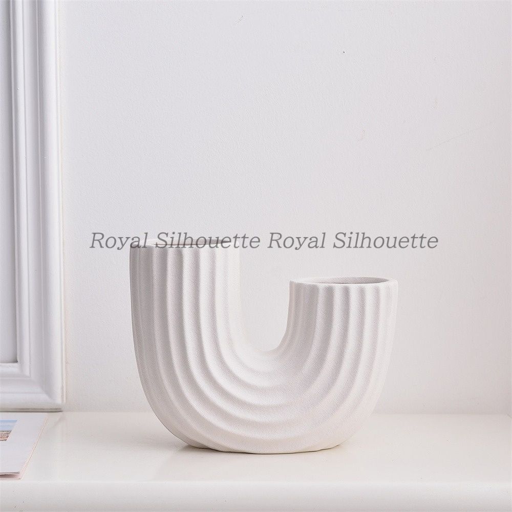 イ*ー様 【個性・陶器鉢付き！】パキポディウム・グラキリス 芽吹き