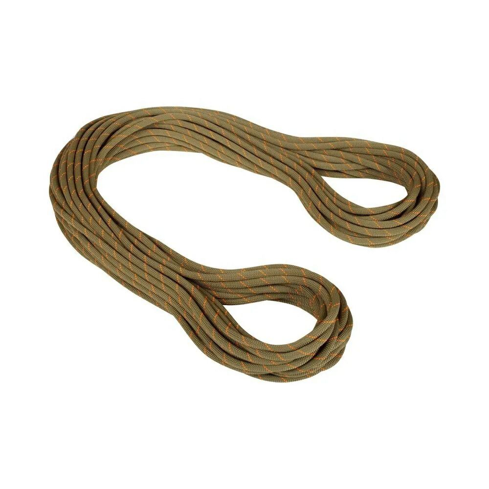 お取り寄せ ２～４週間で発送 マムート ジム ワークホース クラシック 9.9mm ロープ Classic Standard. Boa t MAMMUT Gym Workhorse Classic 9.9 mm t