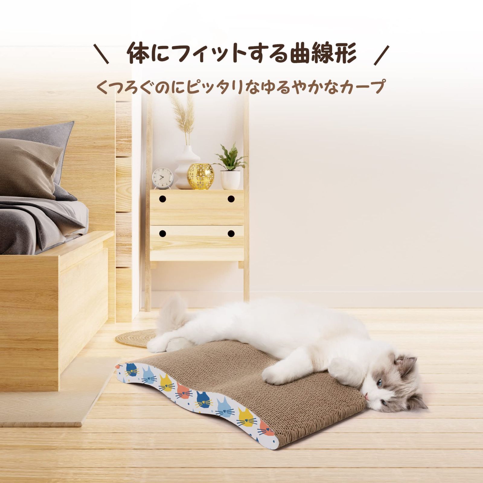 猫 Prime