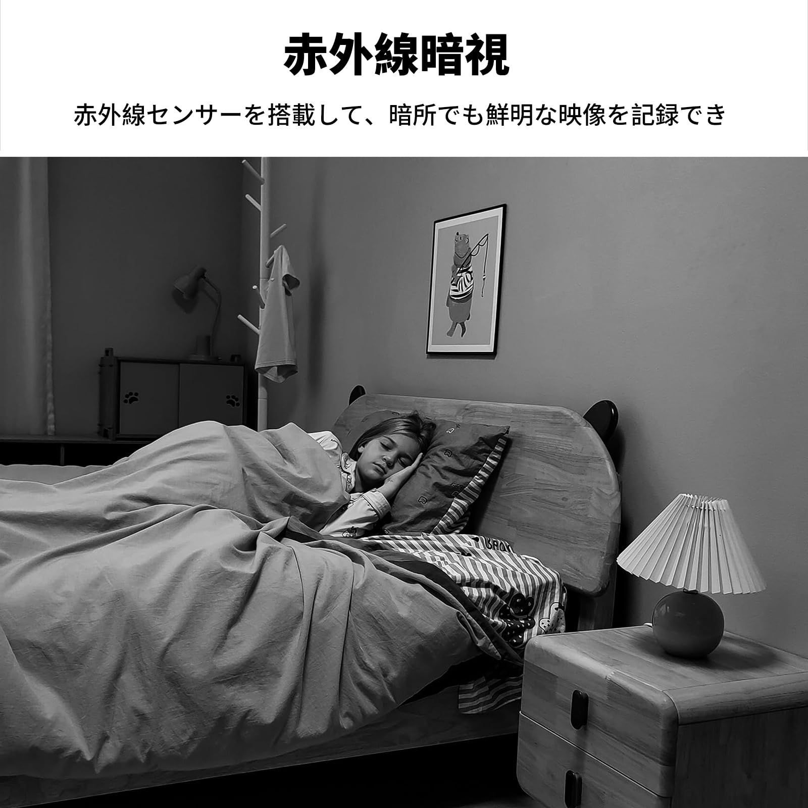 人体|モーション|音声検知 留守番カメラ