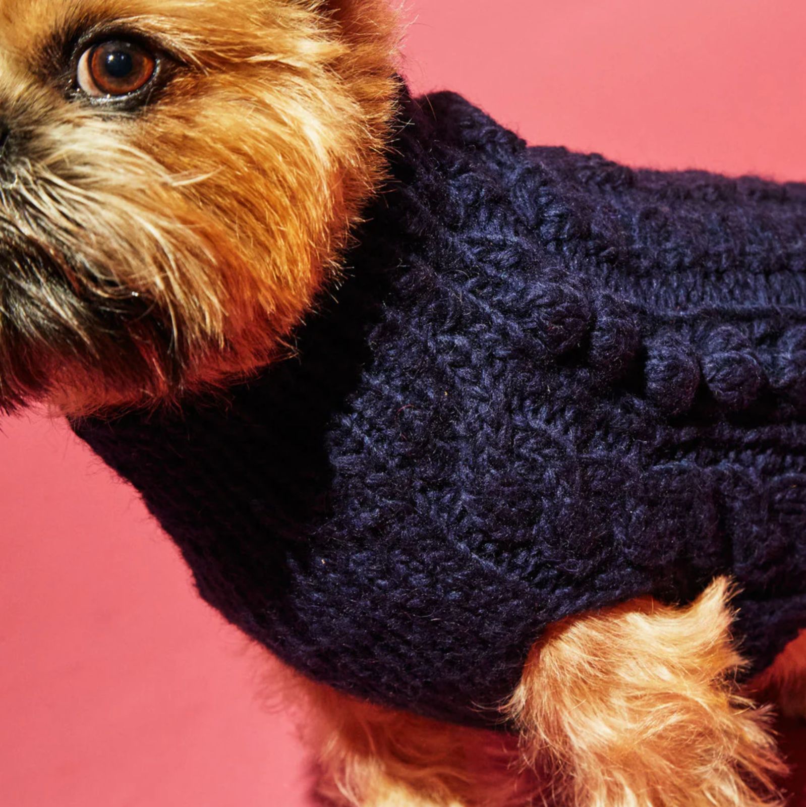 ♥ WARE OF THE DOG CABLE BOBBLE TURTLENECK ネイビー 犬 ニット セーター 海外直輸入