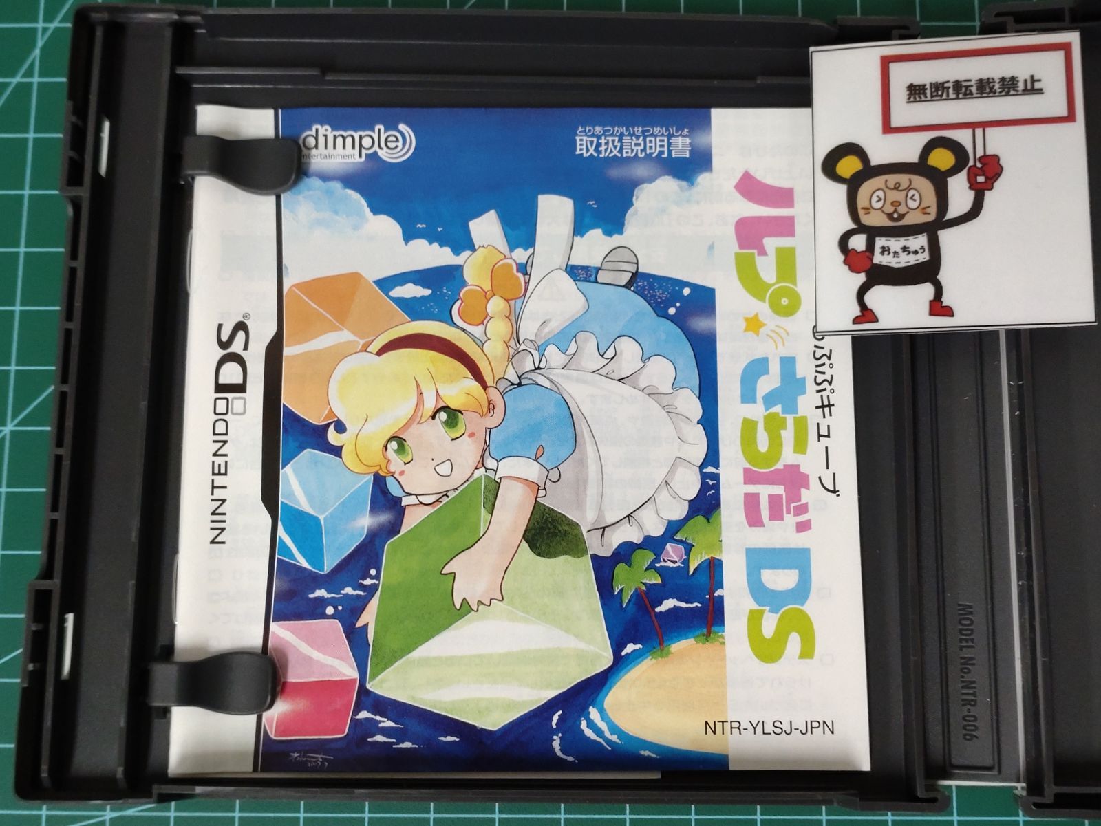 ニンテンドーDSソフト