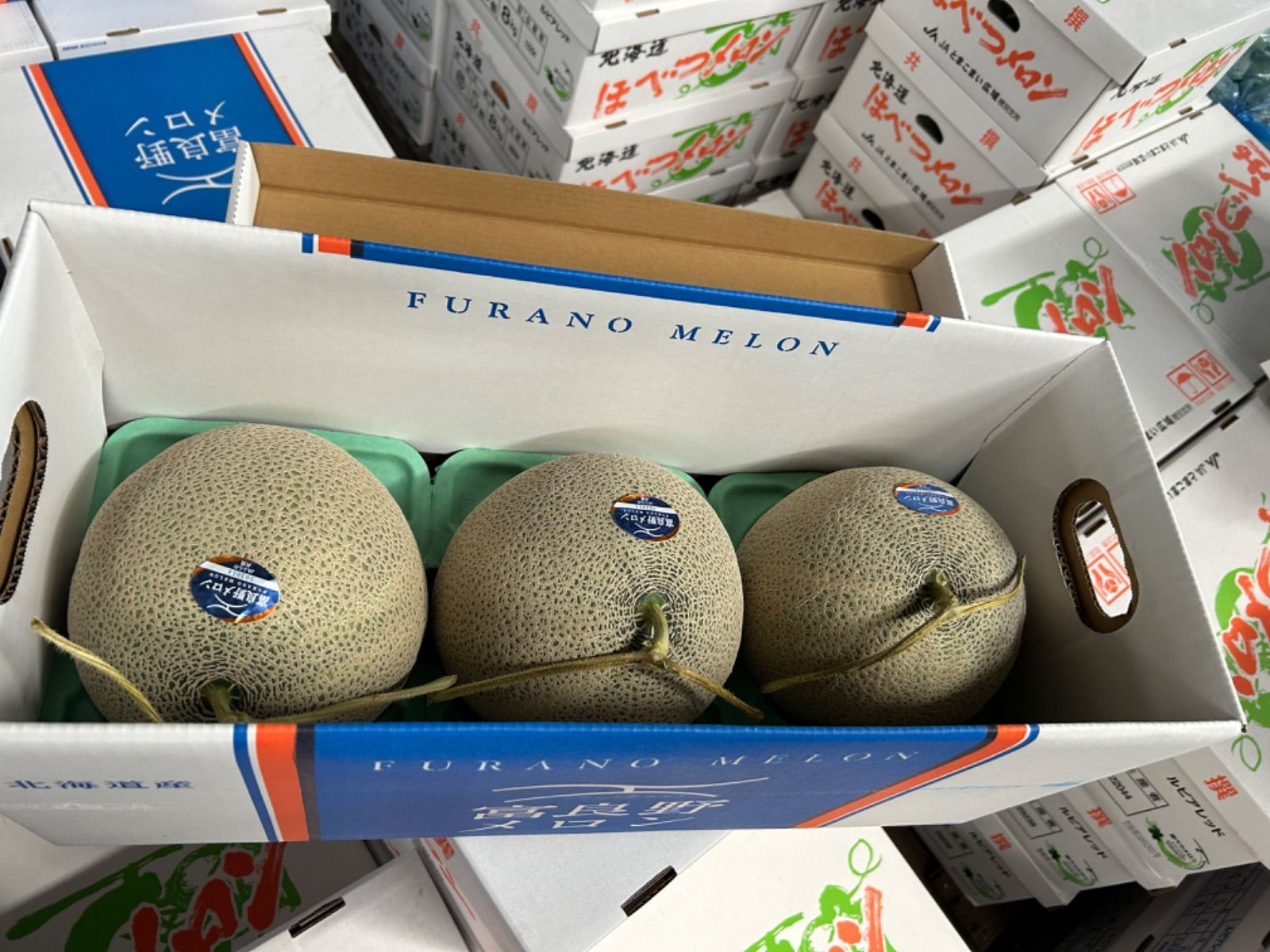富良野メロン 共選 秀4玉 約8キロ 【公式通販】