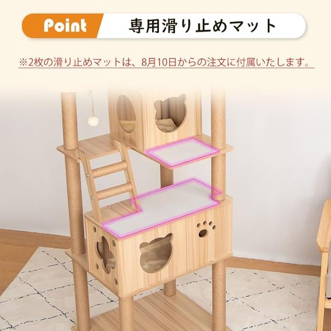おしゃれ 大型猫