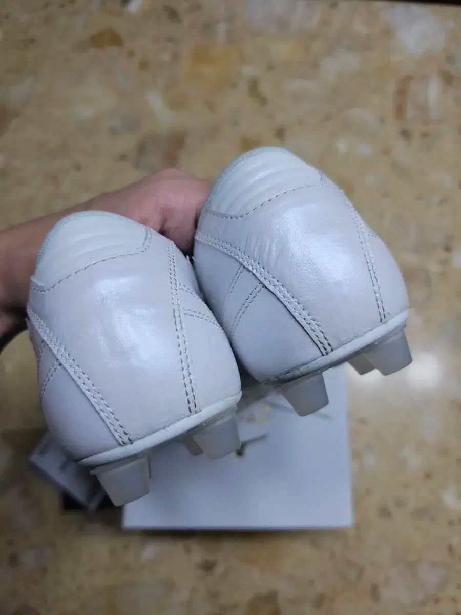 mizuno ミズノ モレリア 2 40 記念日 260 LLC-HASEGAWATOSO_COM