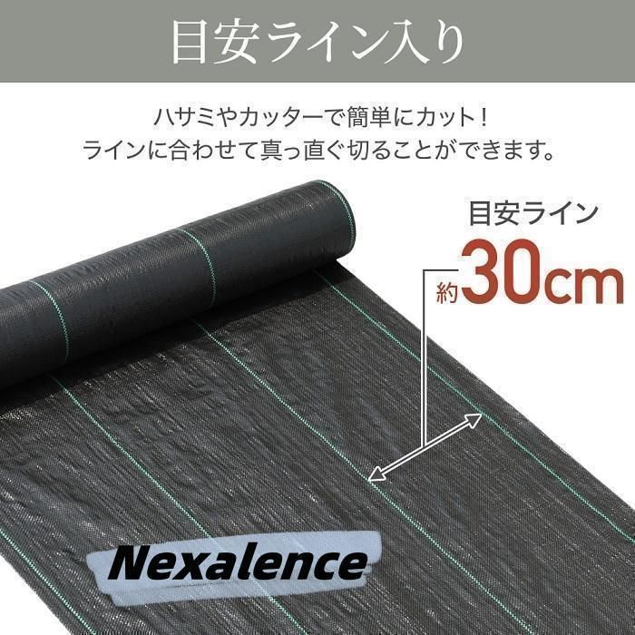 2m×100m