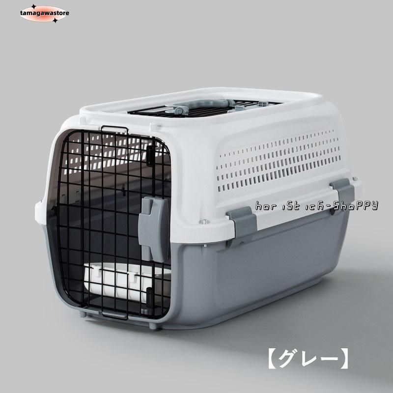 小型犬 お出かけ