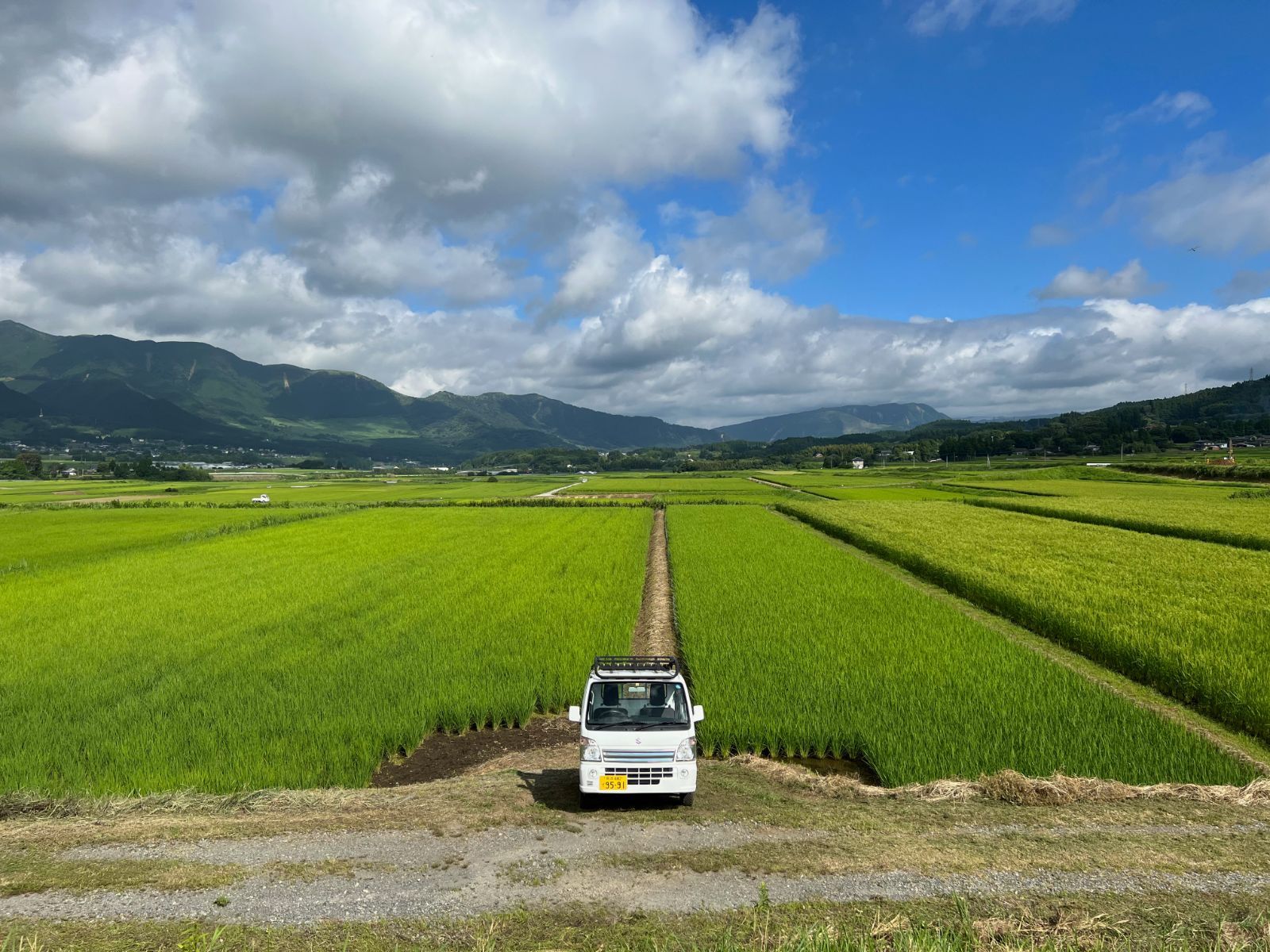 令和4年度産 自然栽培ぴかまる 5kg (bbs専用)-5