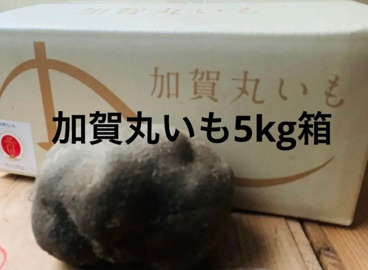 PS audio S300 美品 動作確認済み 元箱あり