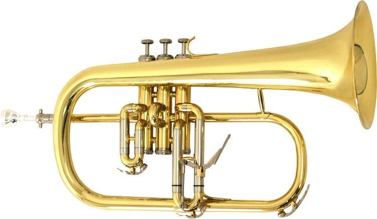 フリューゲルホルン 　セミハードケース付き　ベー管　新品未使用 フリューゲルホルン セミハードケース付 - メルカリ