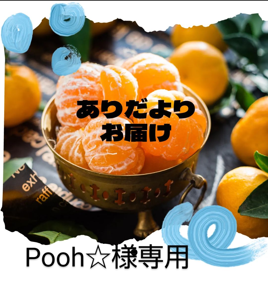 青島みかん Pooh☆様専用 - 自然と笑顔のファーム mayu.take - メルカリ