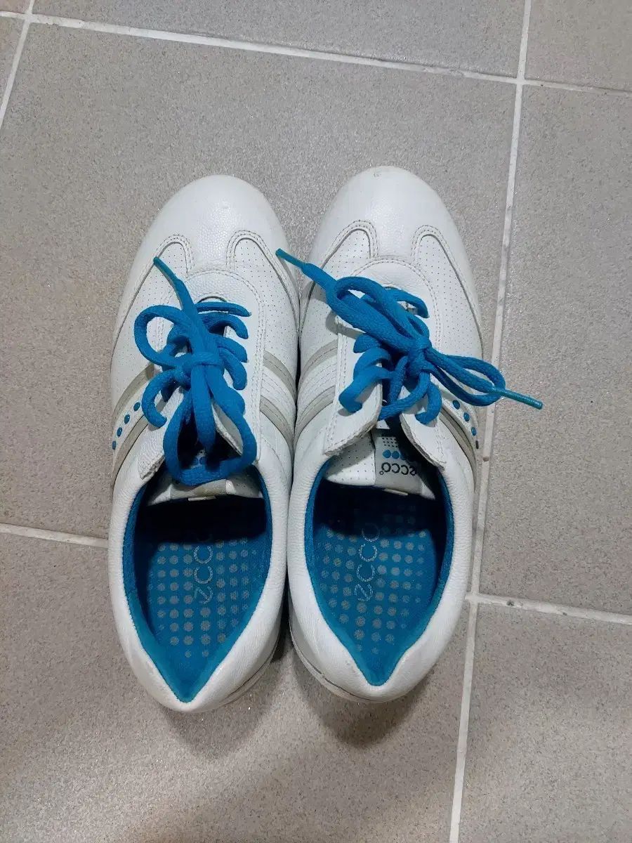 Ecco エコー レディースゴルフシューズ 36 サイズ