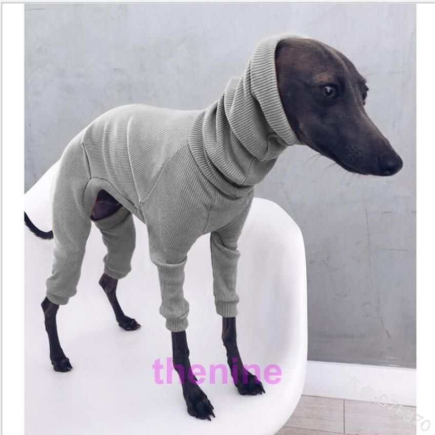 コトリページ　イタグレ服　ハンドメイド 174245403_o4.png?