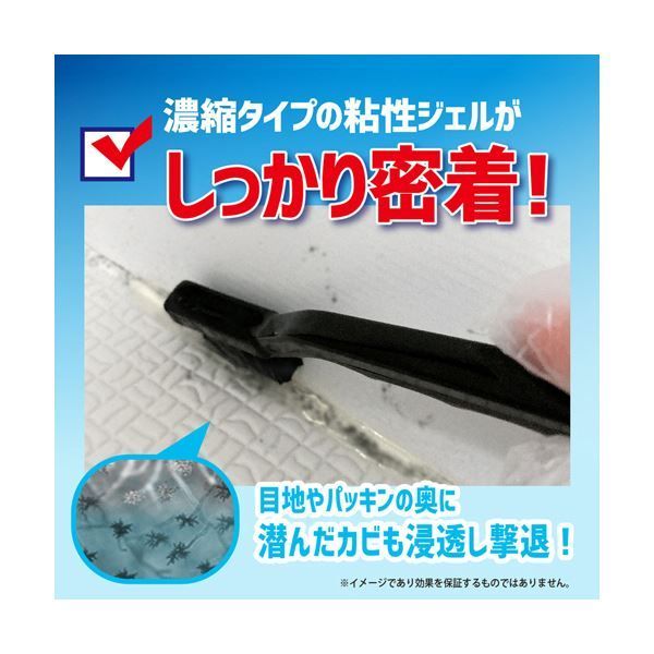 リベルタカビダッシュ
