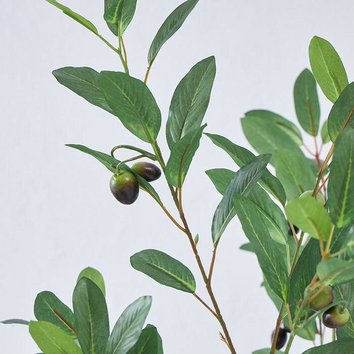 フェイク 光触媒