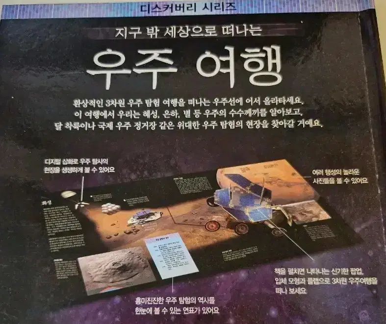 ririka様 ユキヒョウ 全長214cm 国際希少野生動植物種登録票付 寄付の