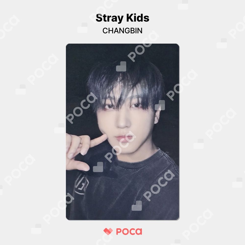 straykids チャンビン スキズ トレカ 合 (HOP) Dear My Muse