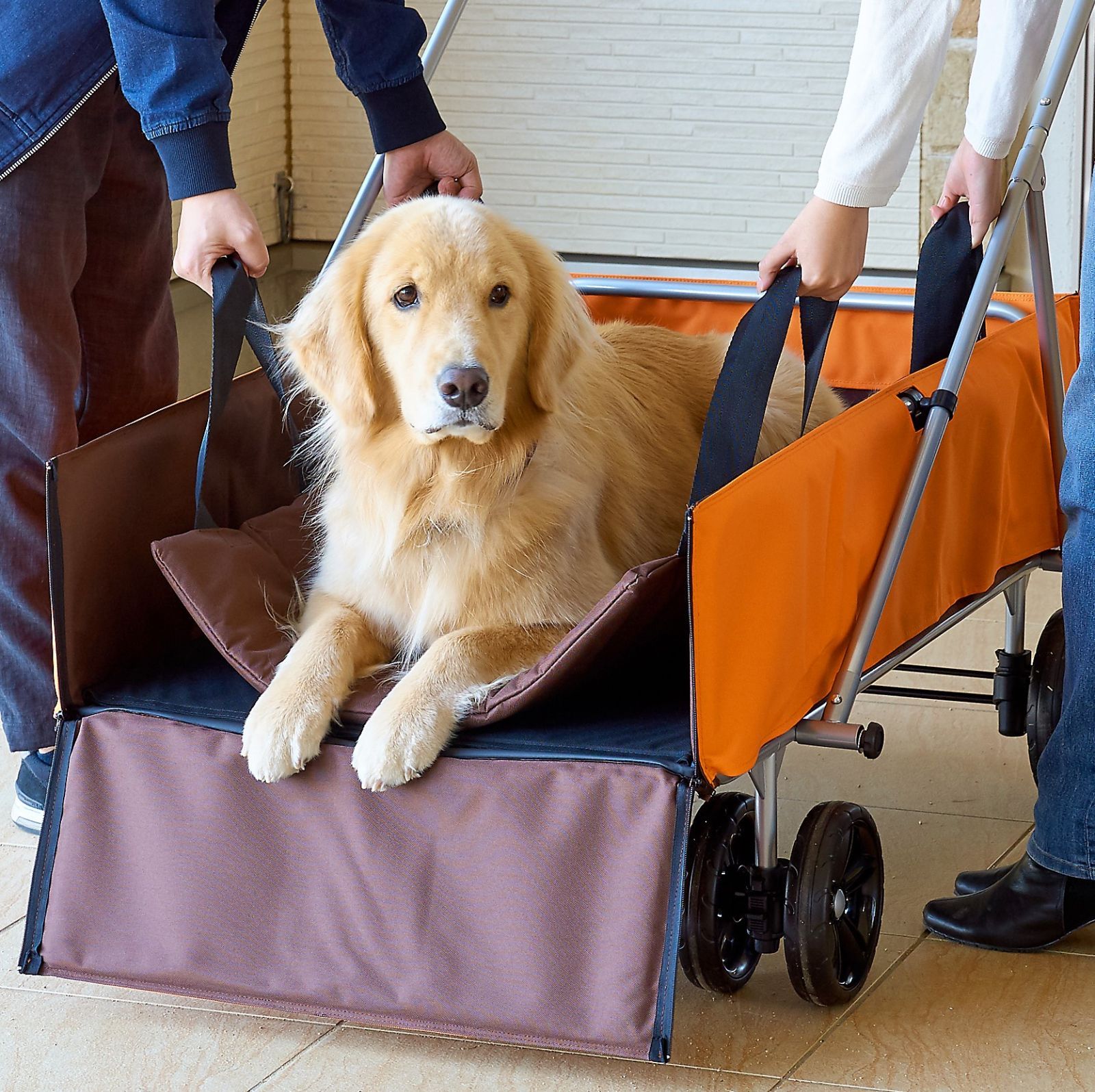 新品・未使用】OFT介護カート【シニア犬 大型犬 大型カート お散歩