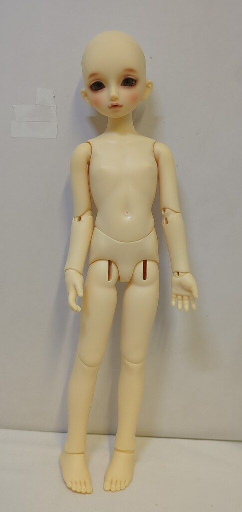 ボークス SDM女の子 モデル のあ