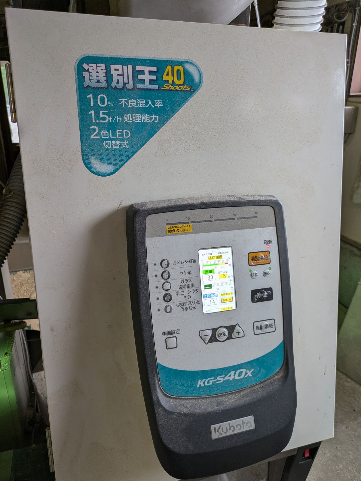 青森県産 令和6年