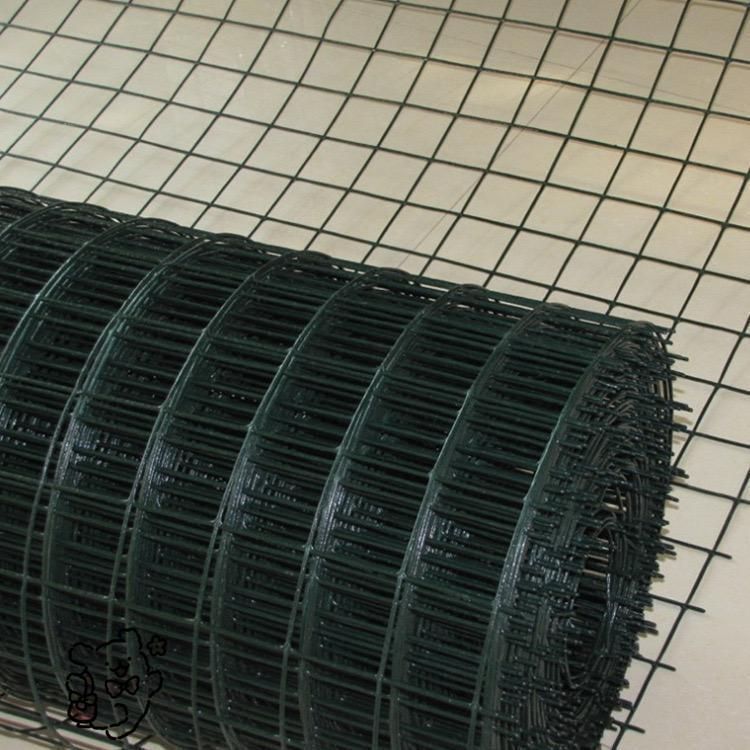 1m×20m