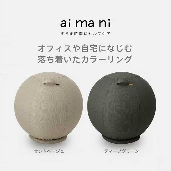 キングジム aimani