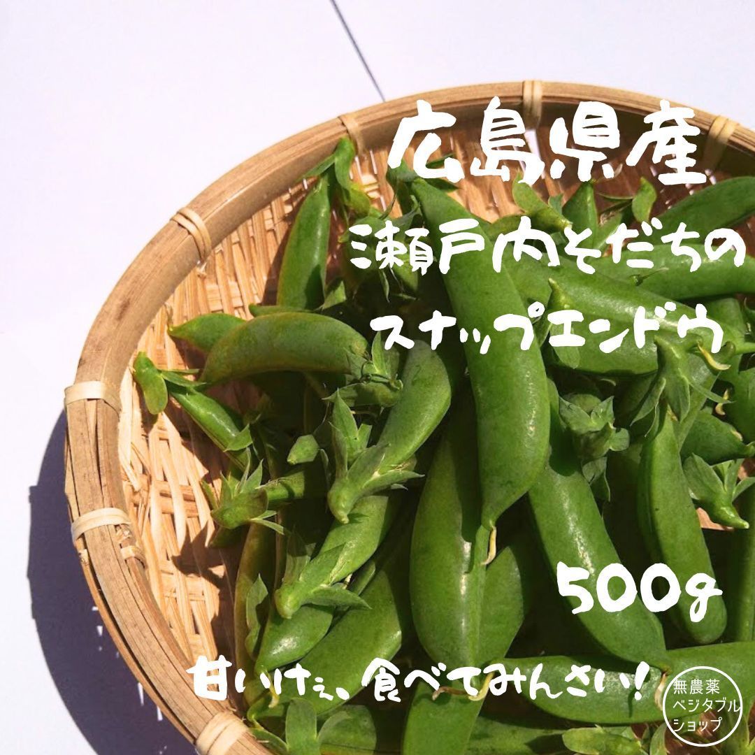 甘さ◎鹿児島産 スナップえんどう 500g 美味しい スナップエンドウ489