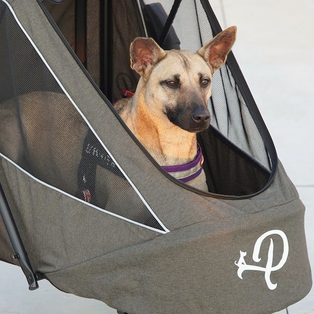 ブリーズ ペットジョガー Breeze Pet Jogger グリーン ペットカート 3輪 折りたたみ 耐荷重30kg 小型犬 中型犬 小動物  多頭飼い 犬 いぬ イヌ 猫 キャリー 散歩 お出かけ 旅行 アウトドア - メルカリ