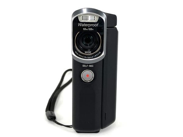 動作保証】SONY HDR-GWP88V HANDYCAM デジタル ビデオ カメラ 