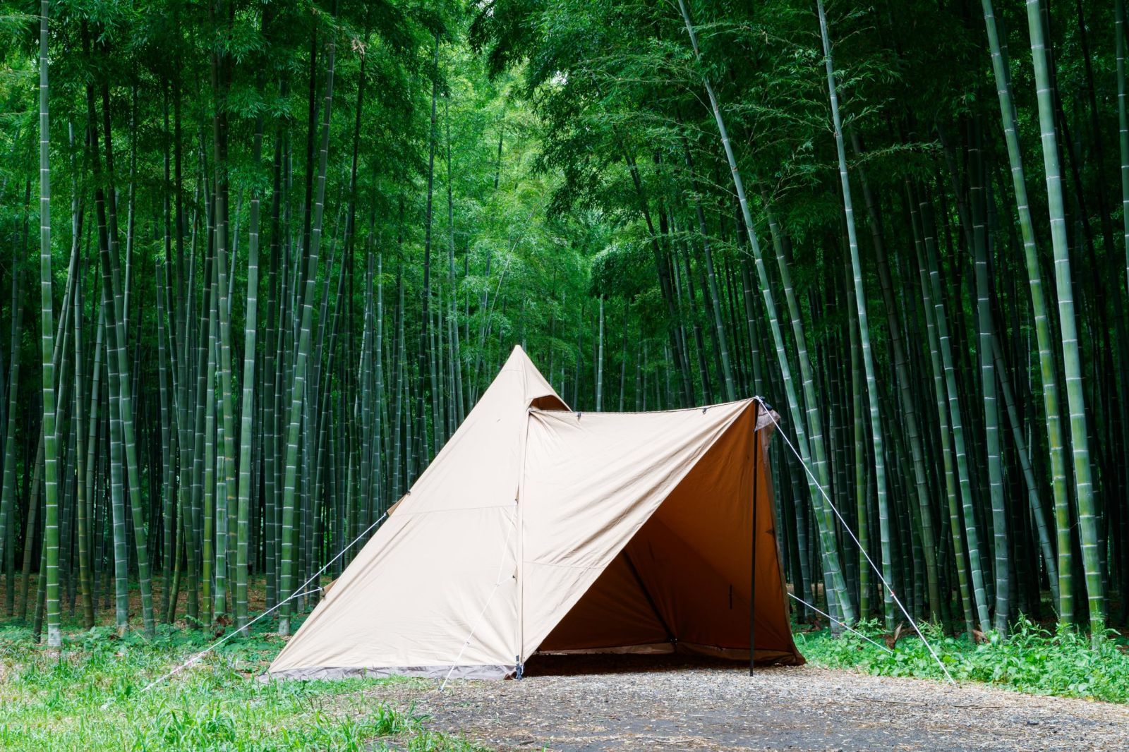 テンマクデザイン サーカス TC DX+ サンド 2人用 ワンポールテント スカート付き ソロ デュオ キャンプ ロープ ペグ 収納ケース付  フルクローズ 【人をダメにするソロキャンプ】サーカスTC-DXとTENKU COTそして時々ヘブンテント