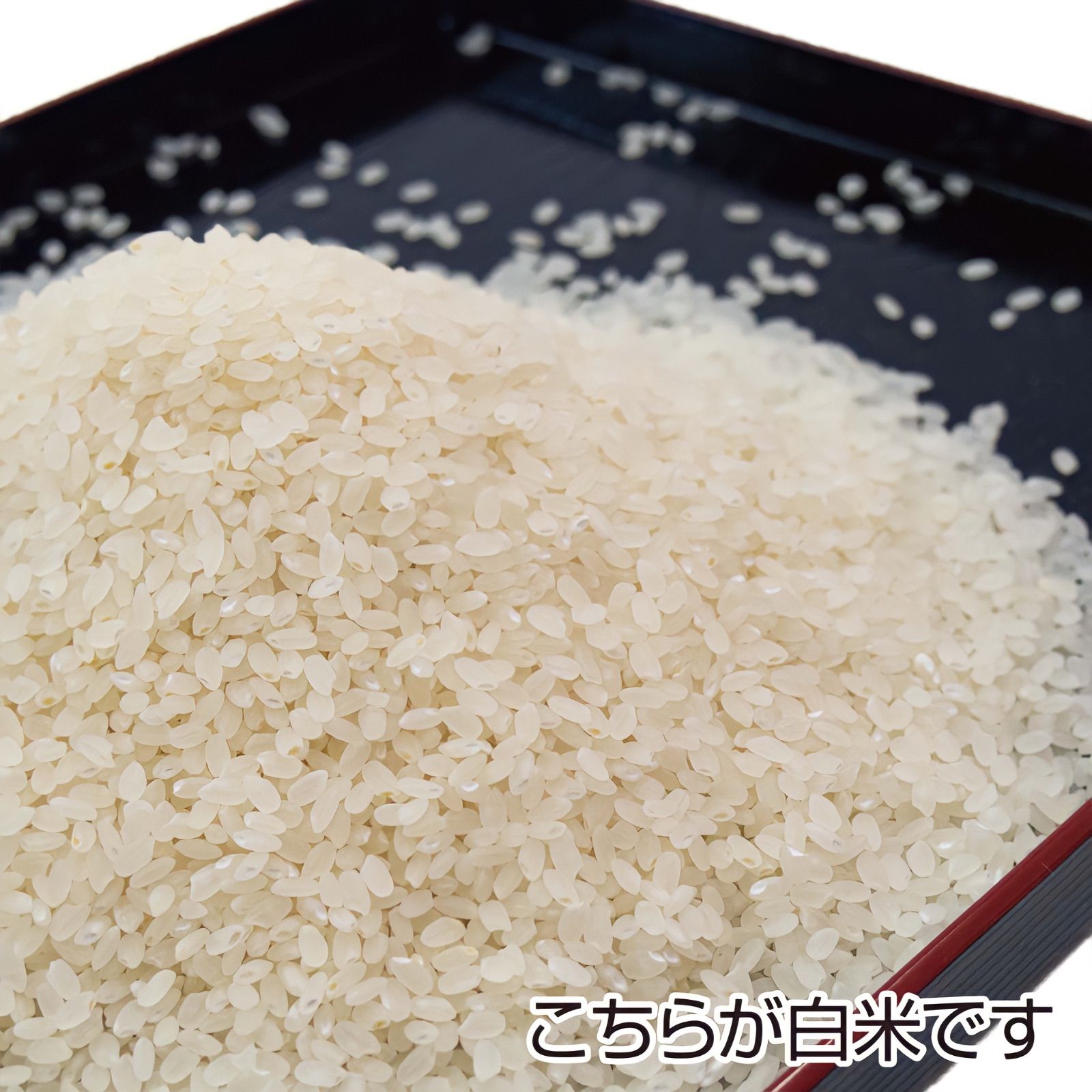 令和５年産 秋田県産 あきたこまち 3kg 無洗米も対応 - 米・雑穀・粉類