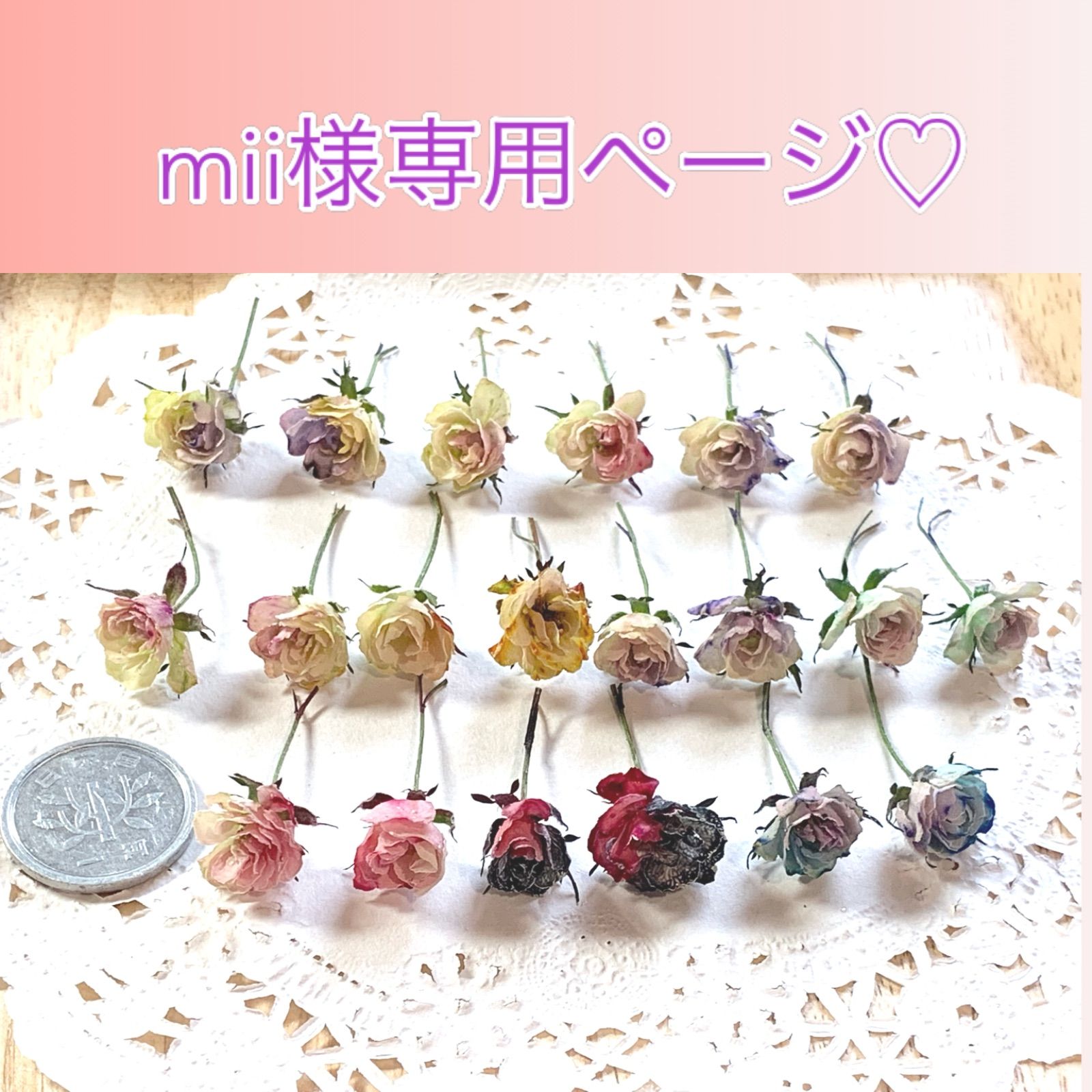 春の新作 ◼️ mii様 ◼️専用ページ♡Sアート♡(Nフレーム➕メルカリ