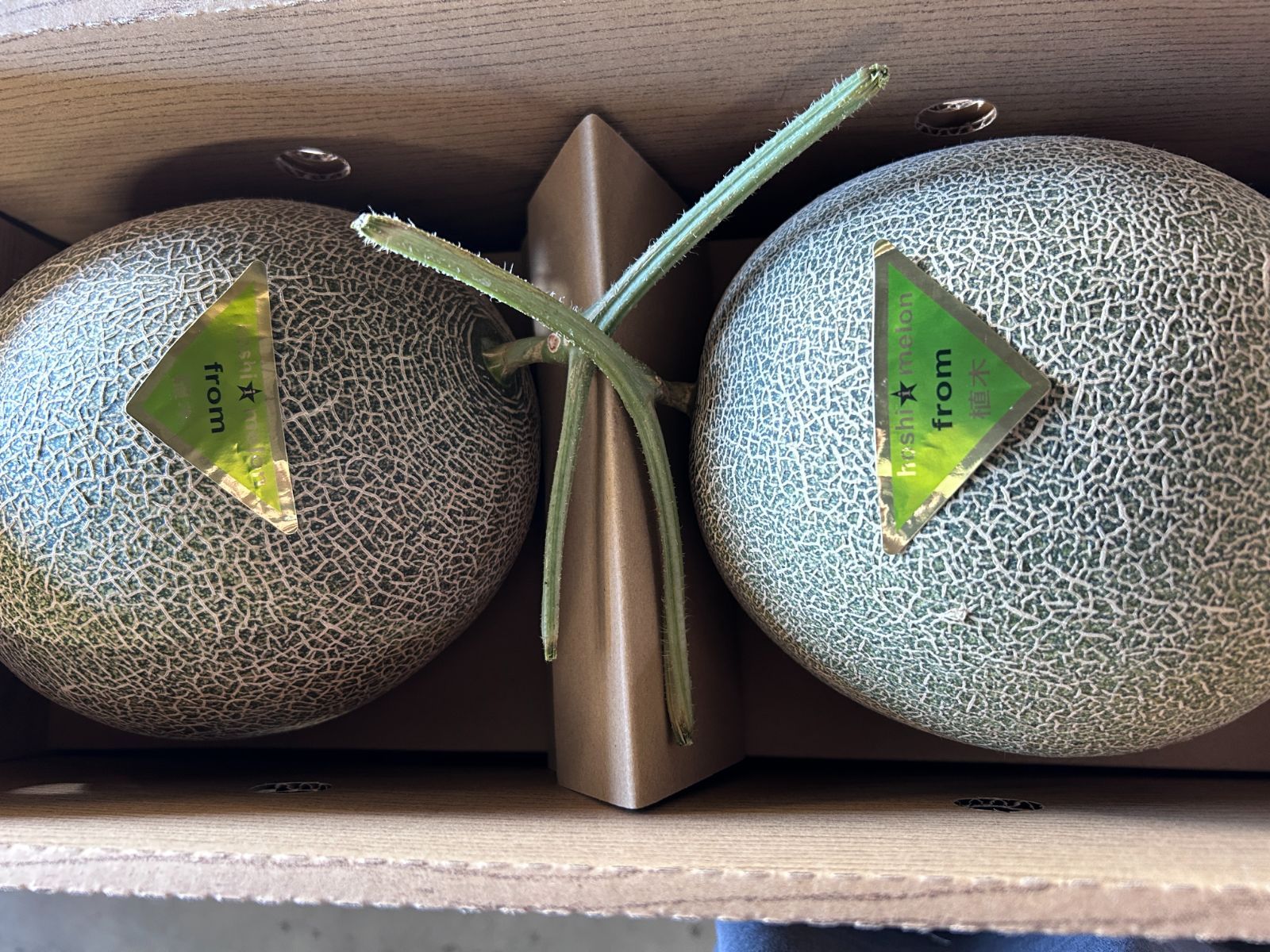 肥後グリーン メロン 贈答 お買い得 2個 （1玉約2.5Kg）クール