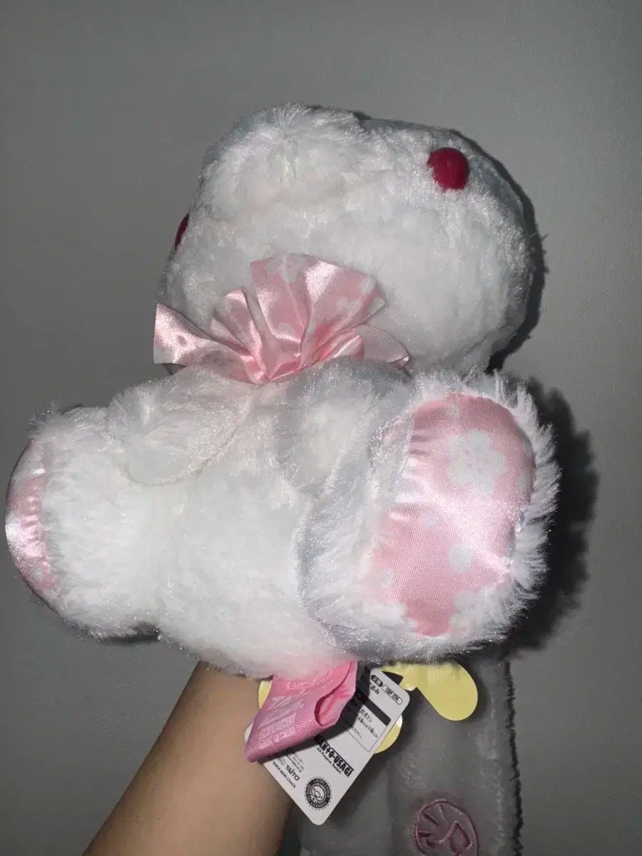 さくら エディション