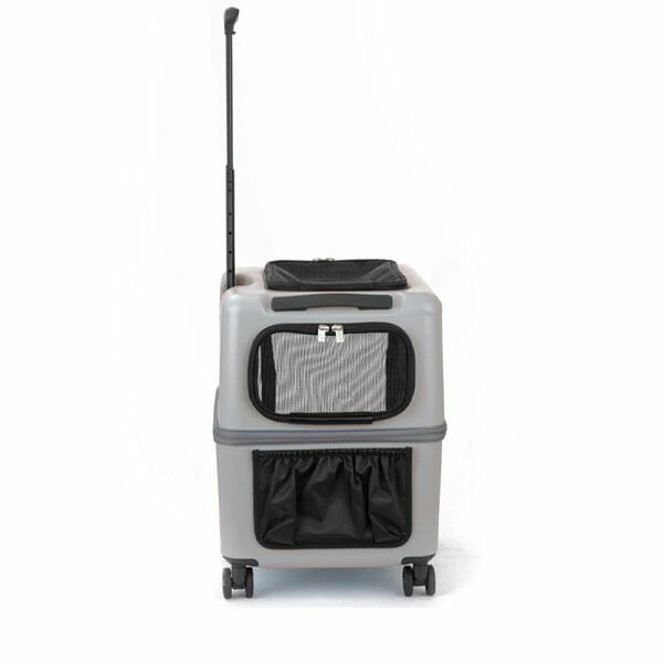 キャスター ペチコ