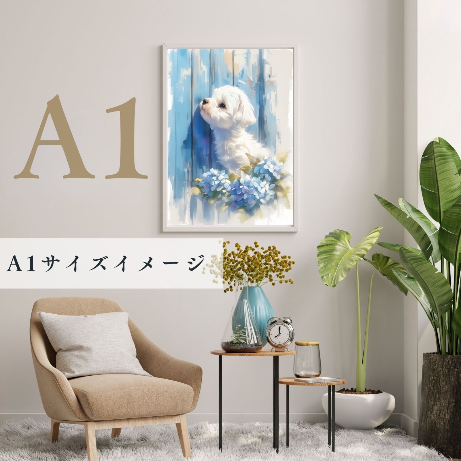 ビションフリーゼ犬の子犬