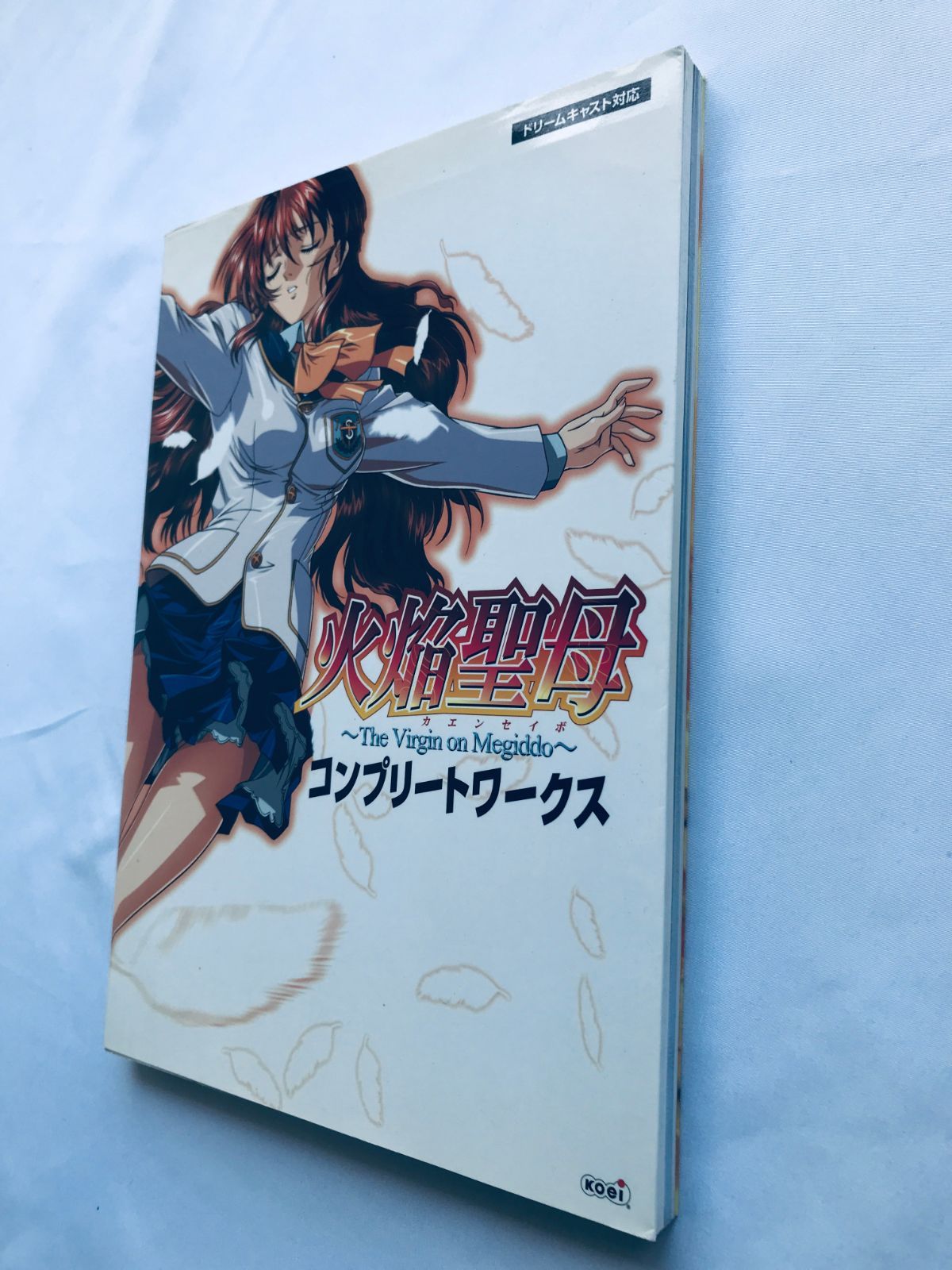 火焔聖母 The Virgin on Megiddo コンプリートワークス 攻略本 ガイド 