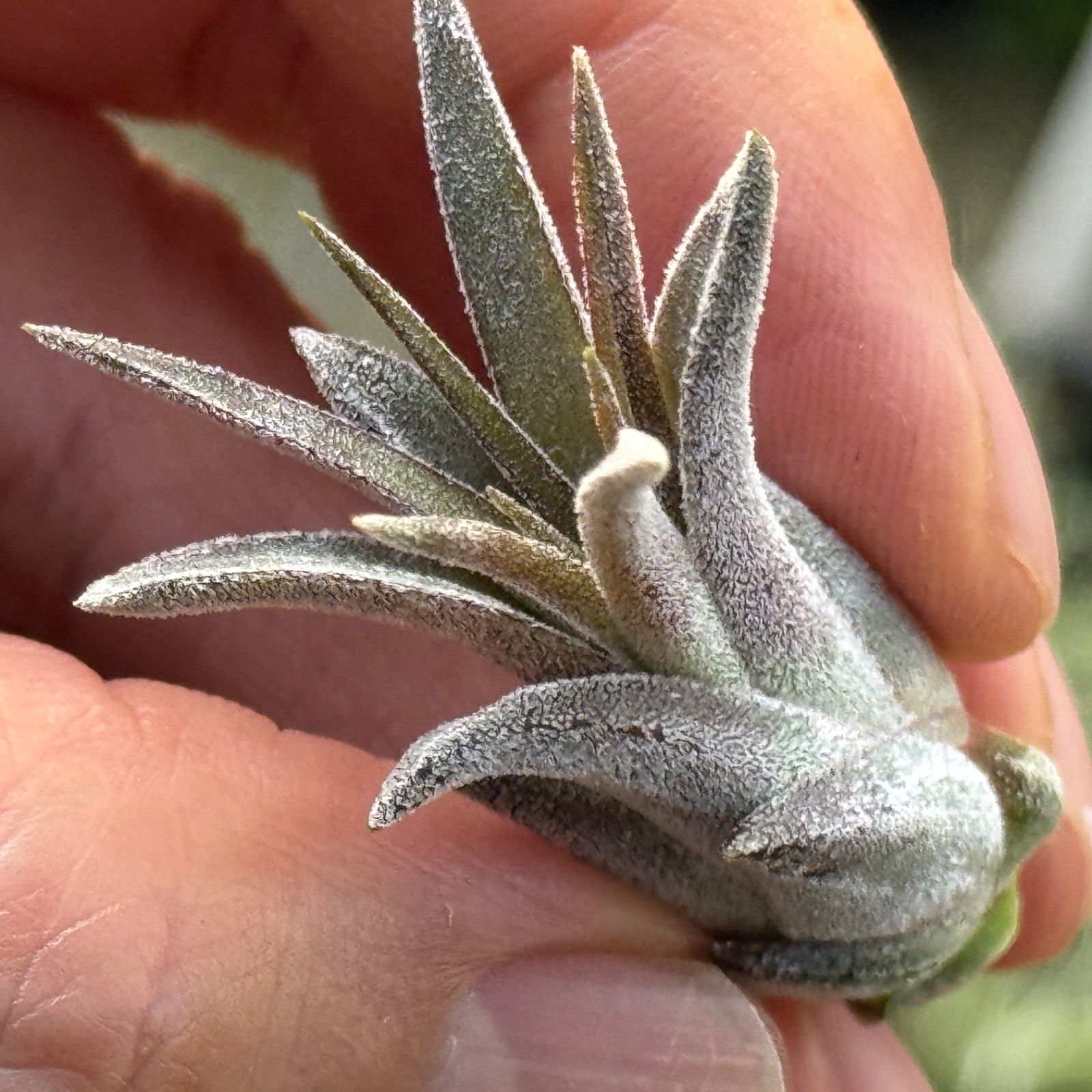 オリジナルスツール【0/0 革】 ネルデザインワークス WHAT WE WANT