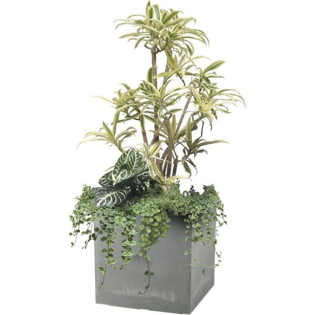 プランターWS キューブ