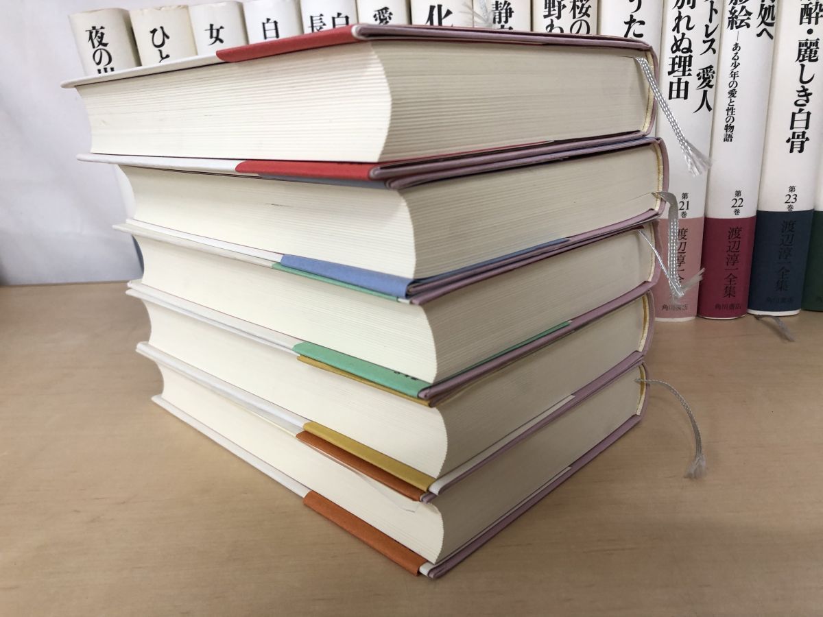 渡辺淳一全集 全巻セット 24巻揃 日本経済新聞出版社 月報付 全巻揃
