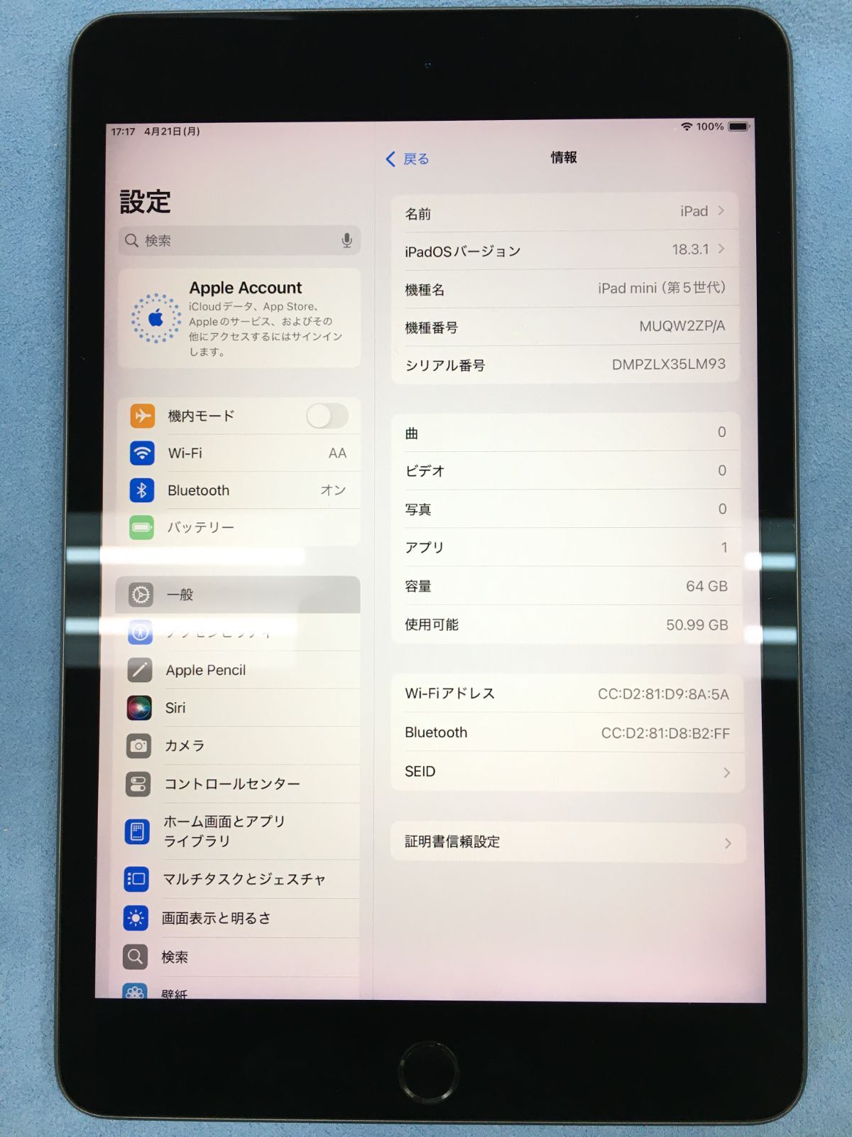 Apple iPad