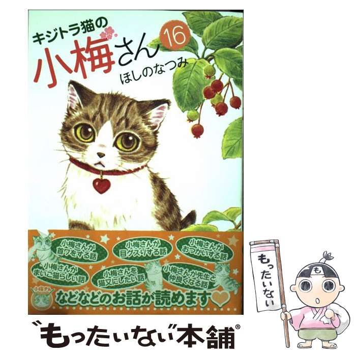 キジトラ猫の小梅さん 子猫 23冊 ねこぱんち 少年画報社 ほしのなつみ セット DXねこぱんち キジトラ猫の小梅さん '16 (コミック(にゃんCOMI