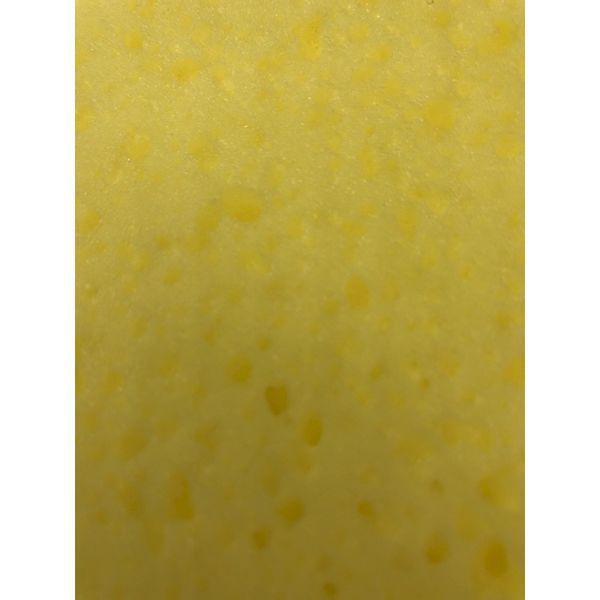 吸水スポンジ 大判タイプ